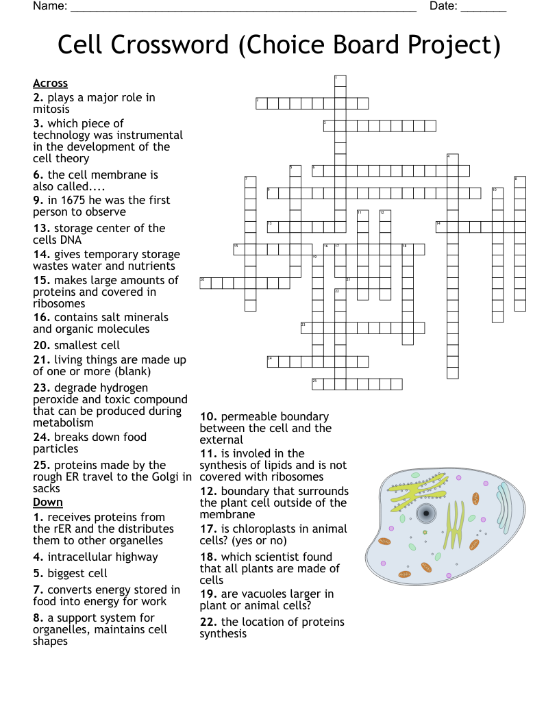 Comprehensive Guide to Ensemble Crossword Puzzles and Solutions