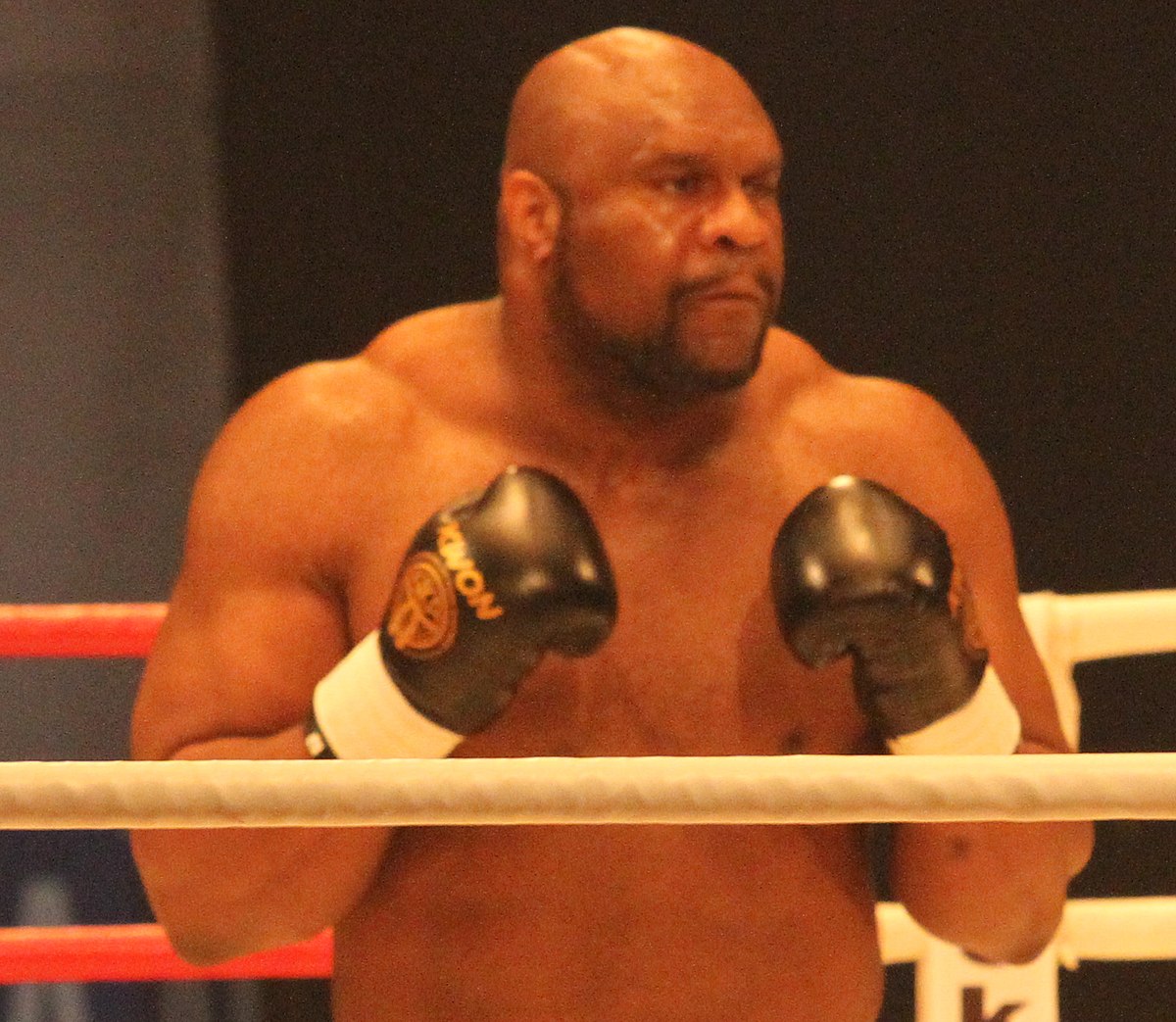 Who is Robert Sapp? The Life of MMA Fighter, Actor, and Former NFL Player