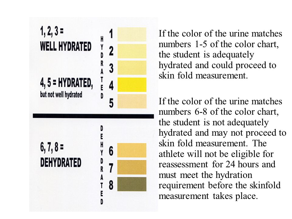 How to Pass a Hydration Test for Skinfold Measurements