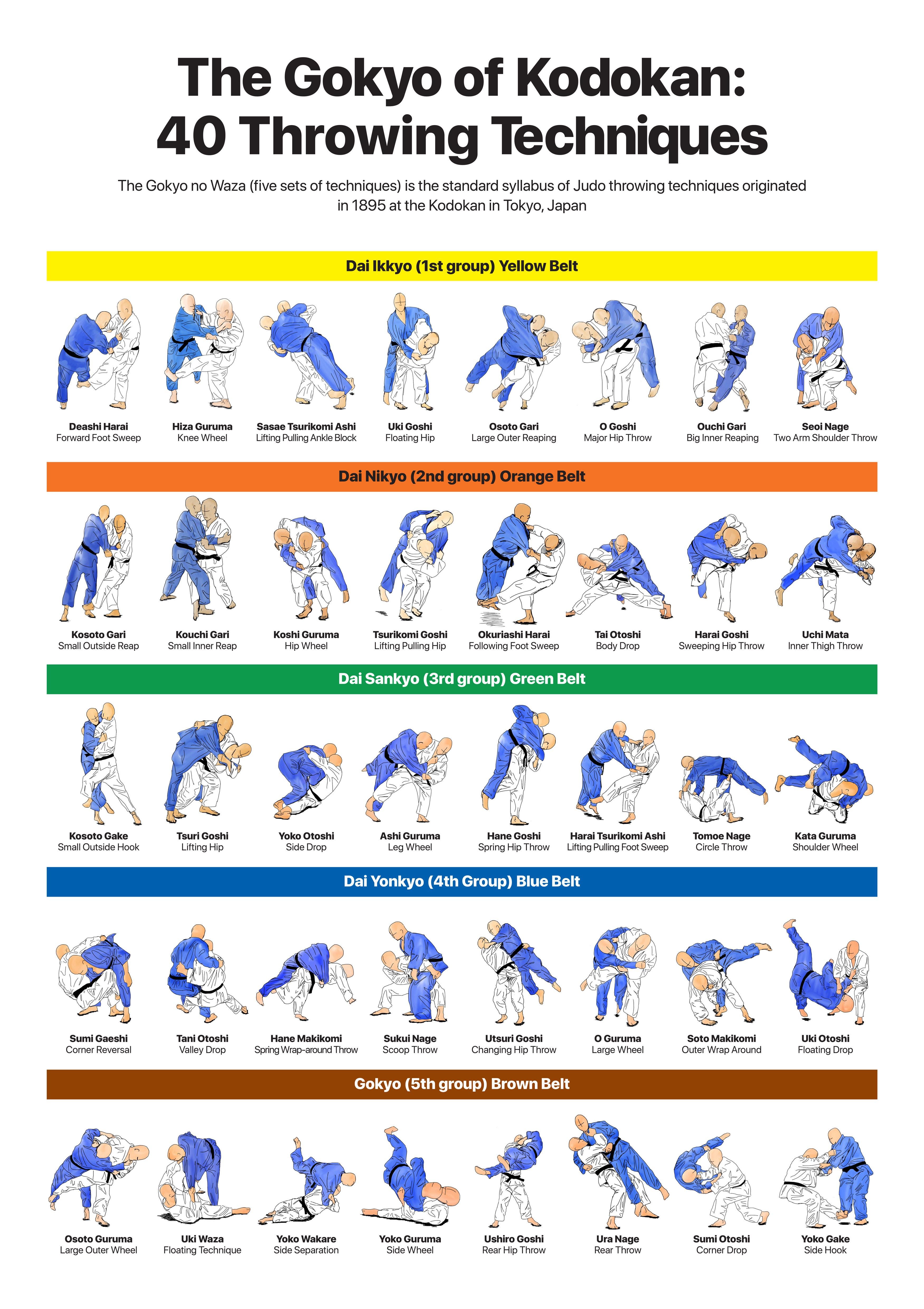 Decoding Judo Ranks NYT: Your Cheat Sheet