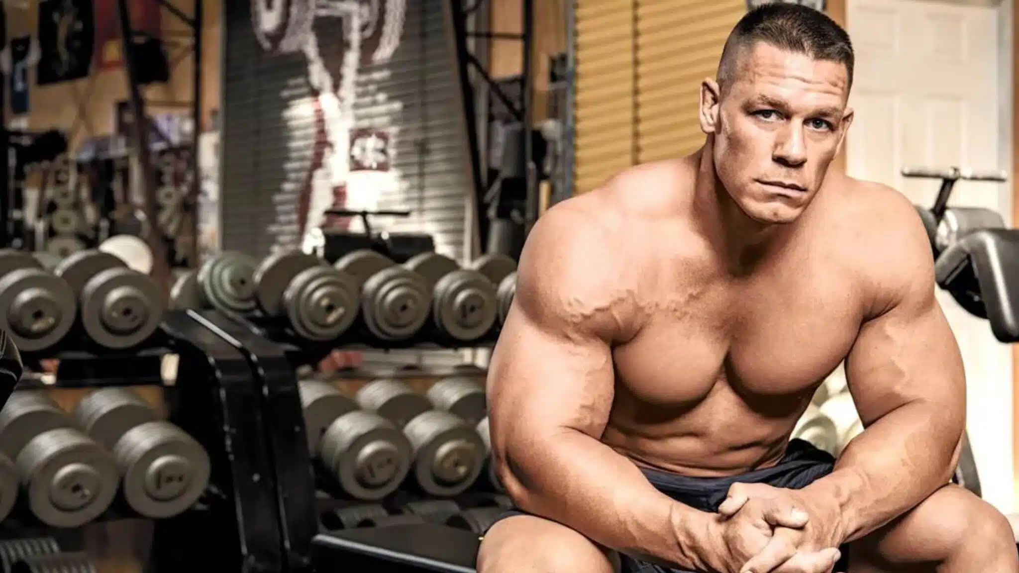 Wow! Check Out John Cena Arm Size and Body Stats