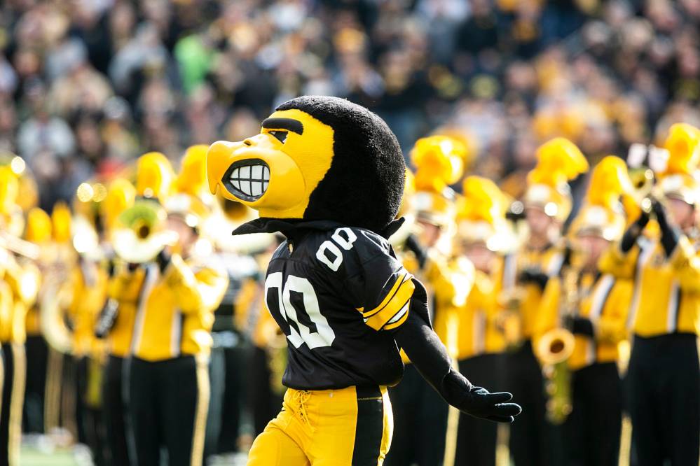 Unveiling the Iowa Hawkeye Tiger Hawk: A look at the iconic mascot.