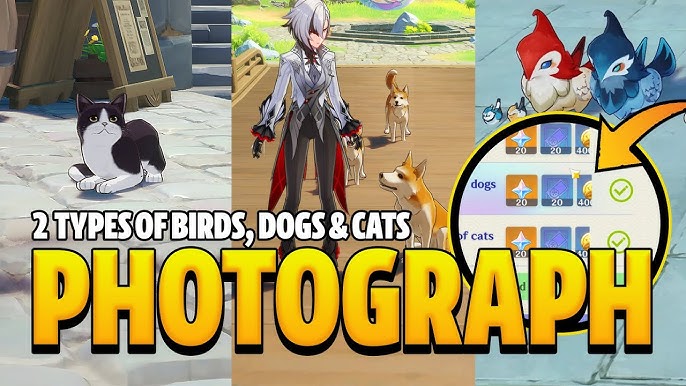 Want to Photograph 2 Types of Cats in Genshin? Simple Steps