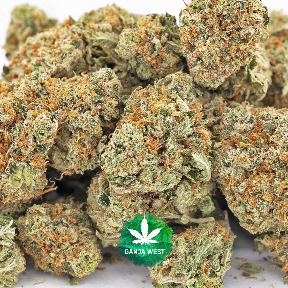 Magic Johnson Strain: What Is It and Why Is It So Popular?