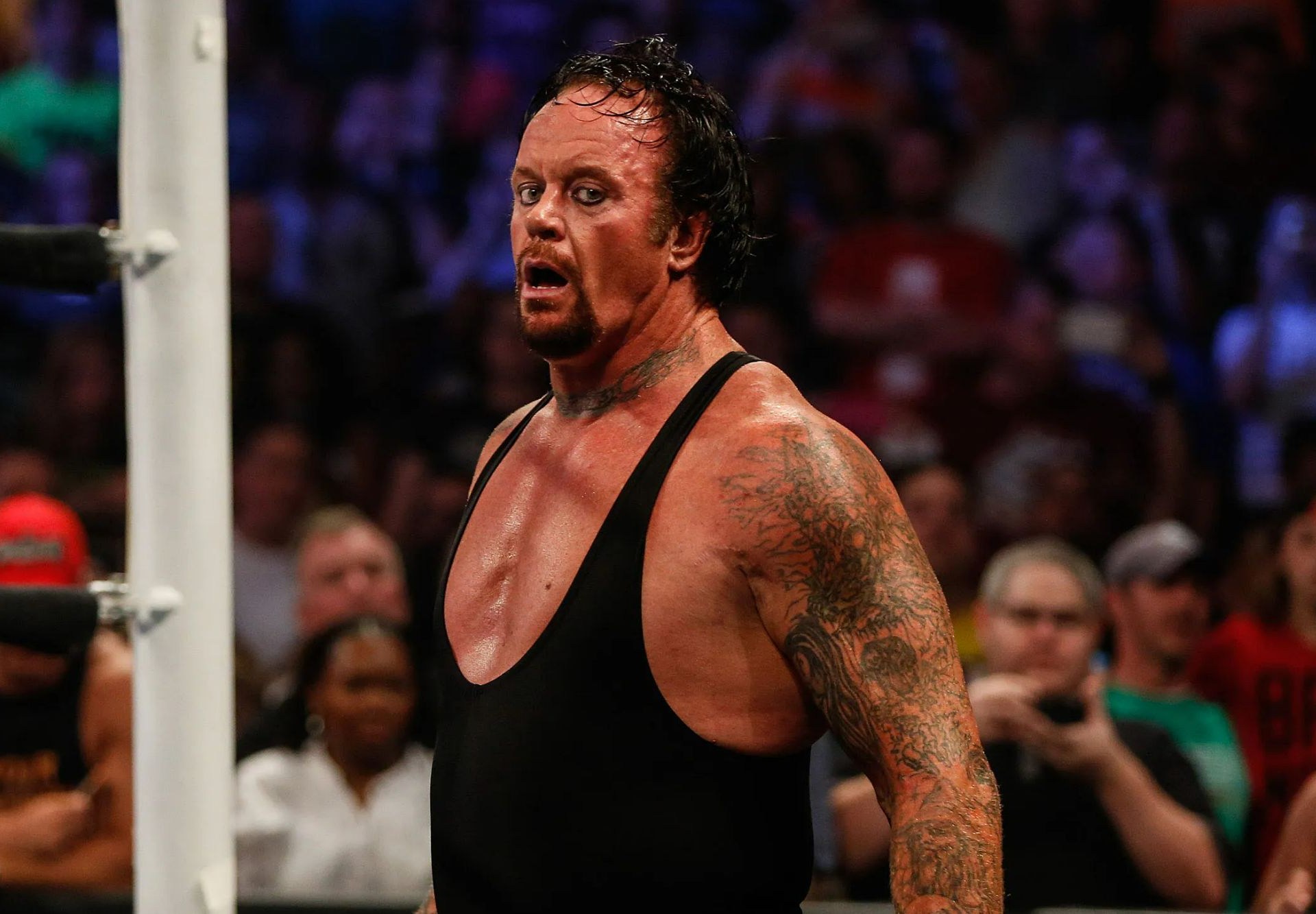 The Undertaker Wrestler Net Worth: A Look at His Fortune