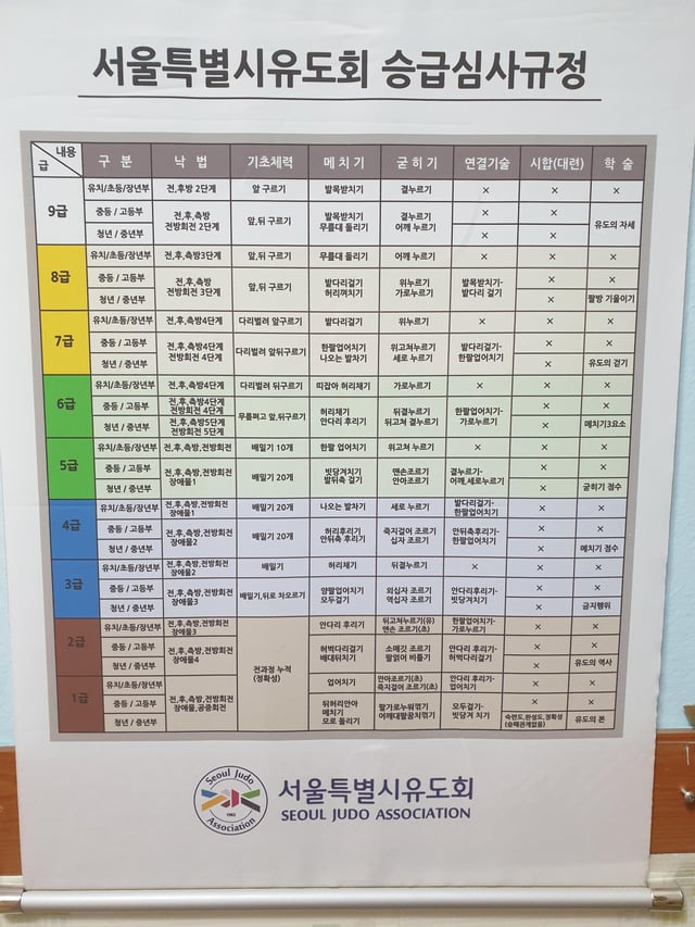 Decoding Judo Ranks NYT: Your Cheat Sheet