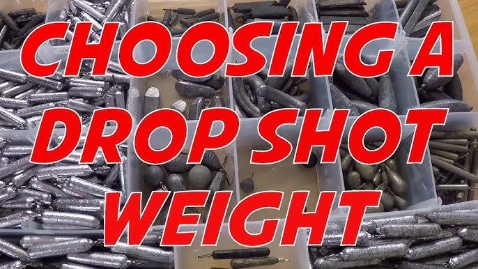 Best drop shot weight holder. Top picks for you to consider!