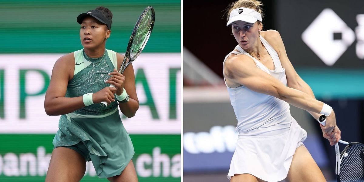 Osaka vs Samsonova: Latest Odds and Our Expert Prediction