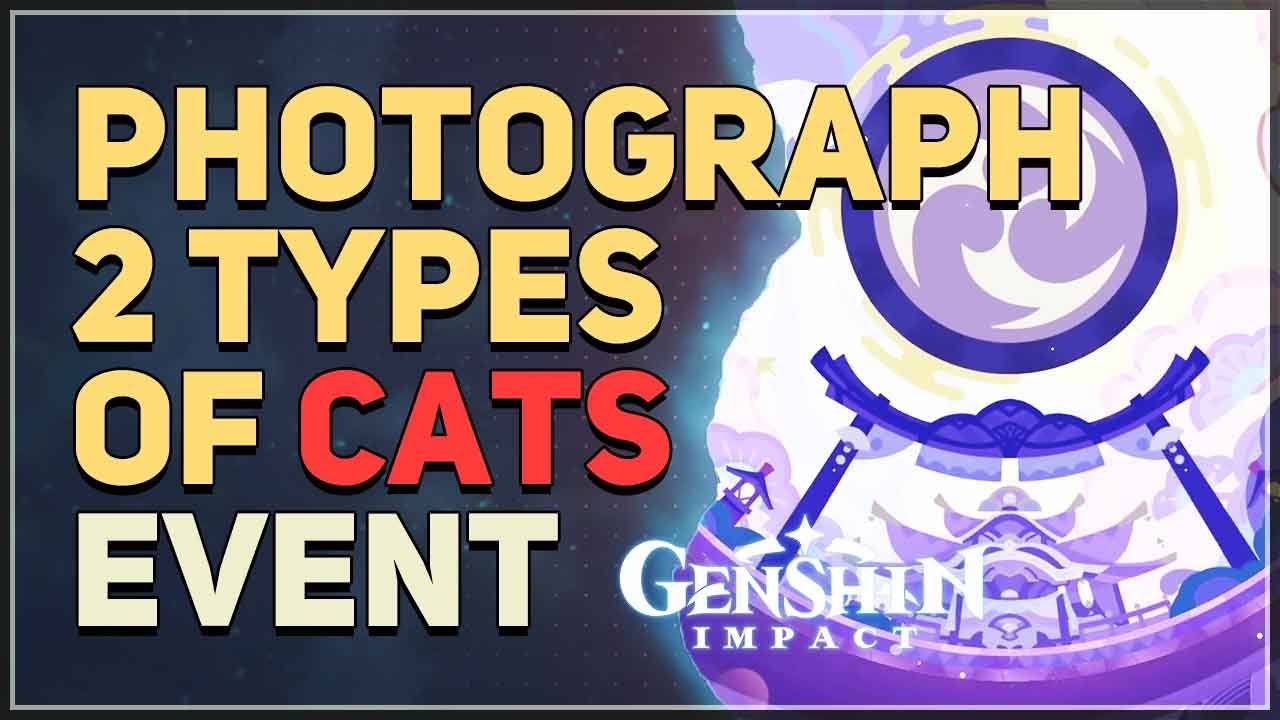 Want to Photograph 2 Types of Cats in Genshin? Simple Steps