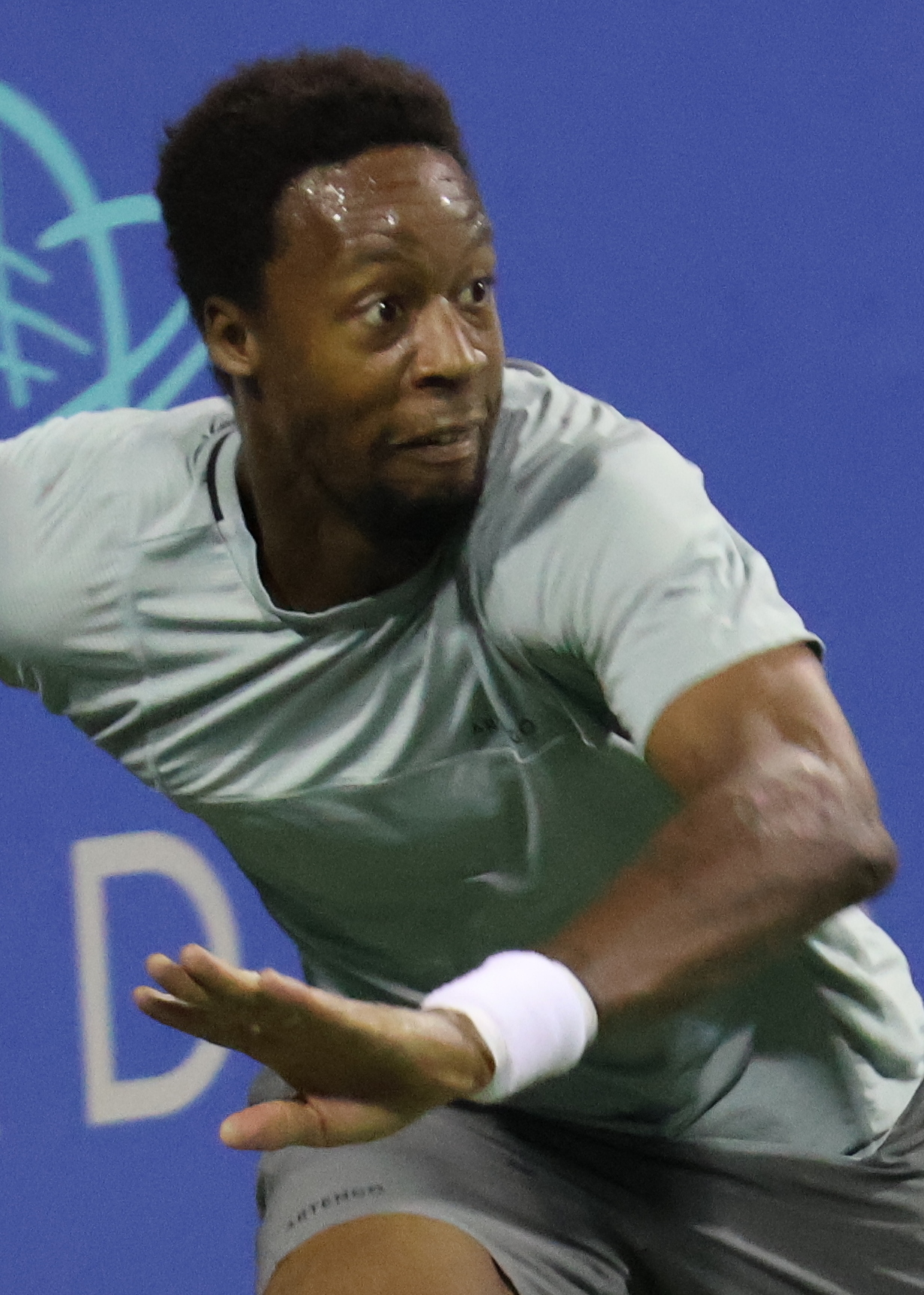 Gael Monfils Ranking History: A Look Back at His Ups and Downs Over the Years!