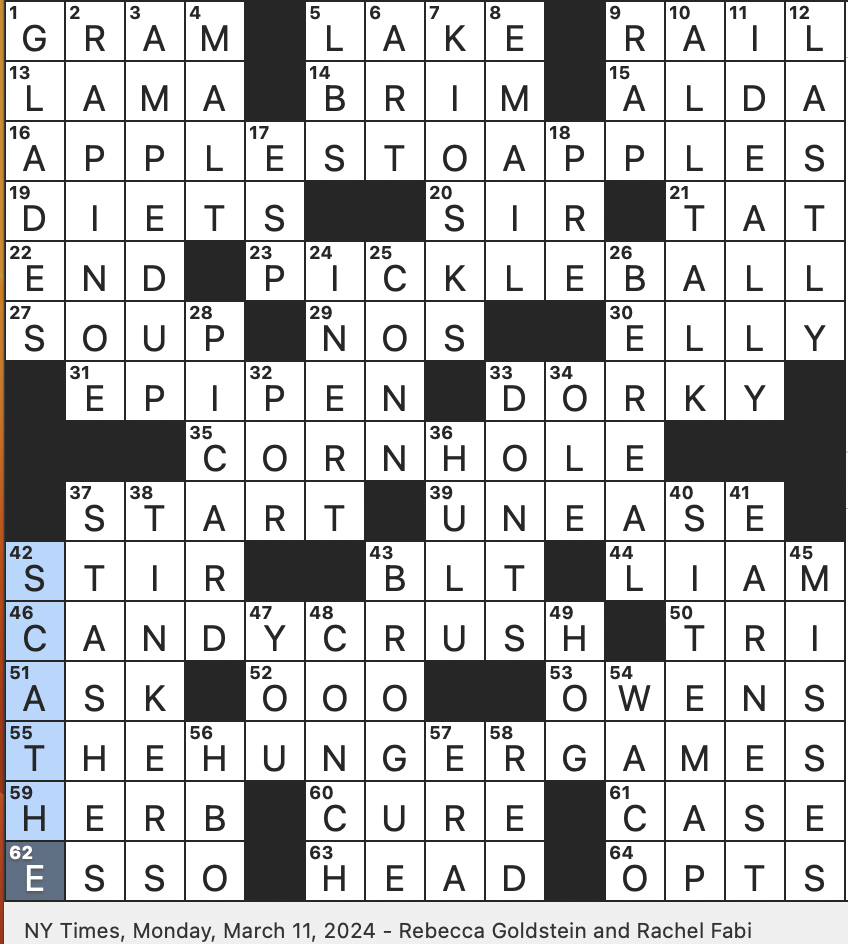 NYT Crossword Help: Whats the Washington NBA Team Answer?