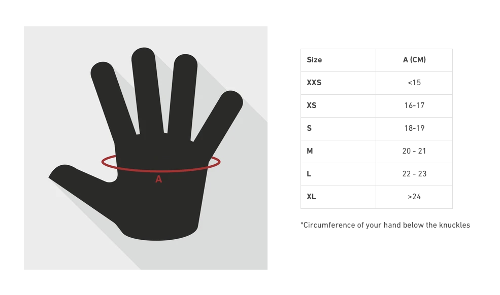 UFC Weight Gloves Guide: What You Need to Know