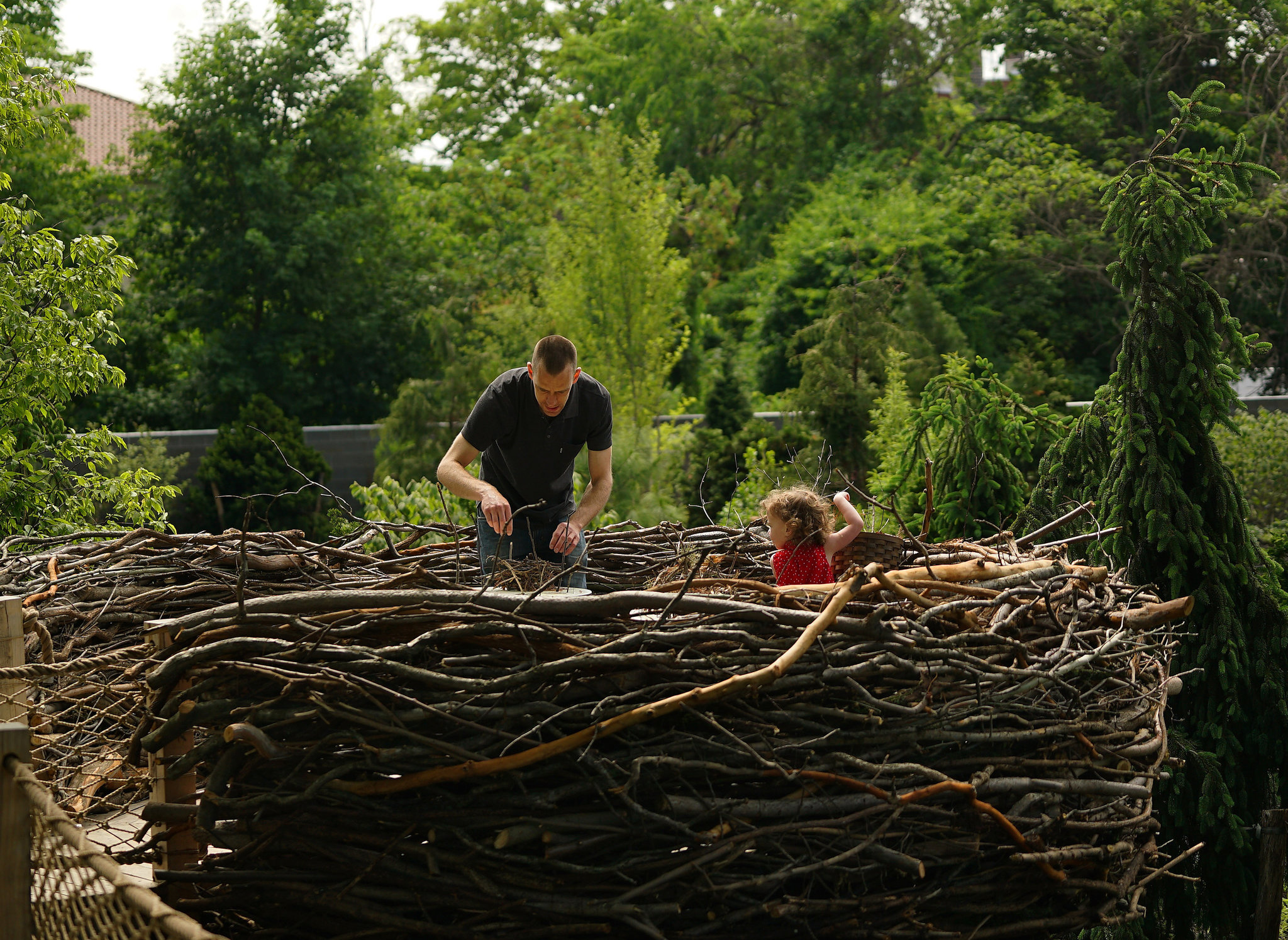 Discovering the Garden: Its Filled with Burls, Amazing!