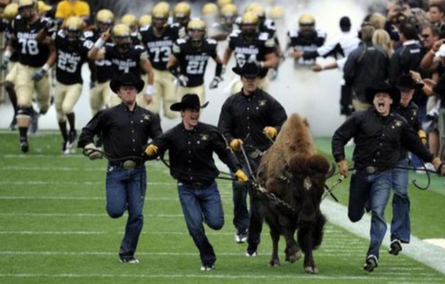 Colorado Buffaloes Parking: Your Complete Guide to Game Day (Make Parking a Breeze)