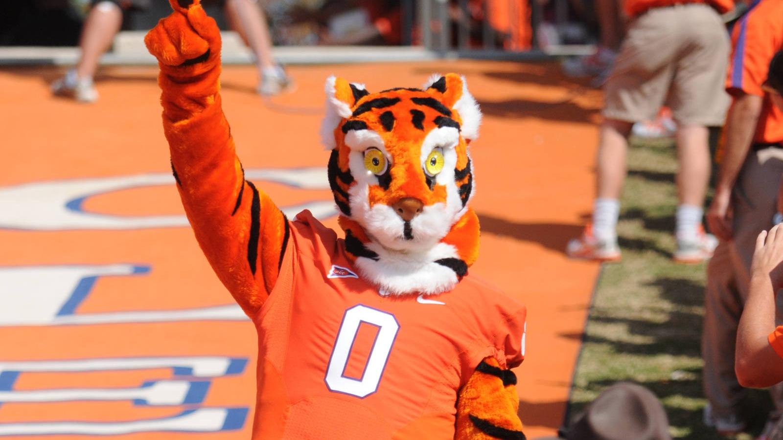 What Is the Mascot of Clemson University? Find Out About the Tiger Mascot!