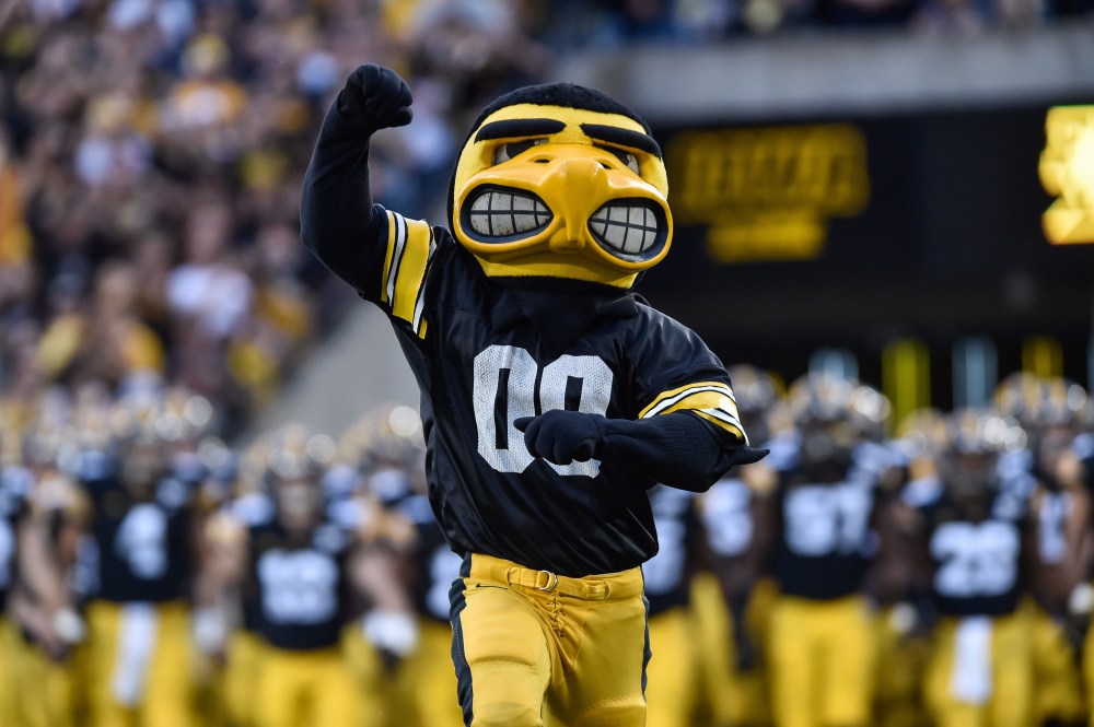 Unveiling the Iowa Hawkeye Tiger Hawk: A look at the iconic mascot.