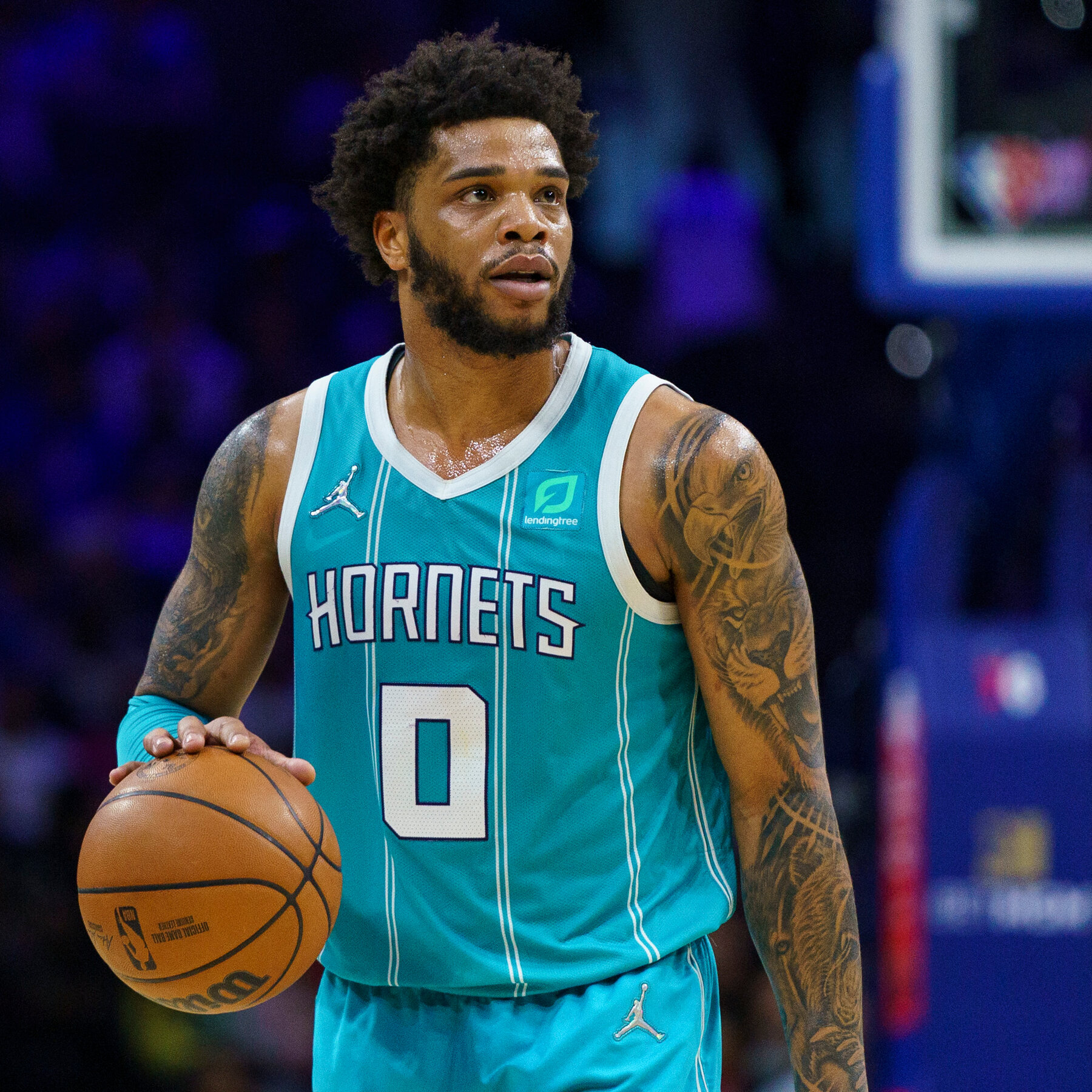 Hornets Players Arrested: A Look at the Charges and Potential Consequences!