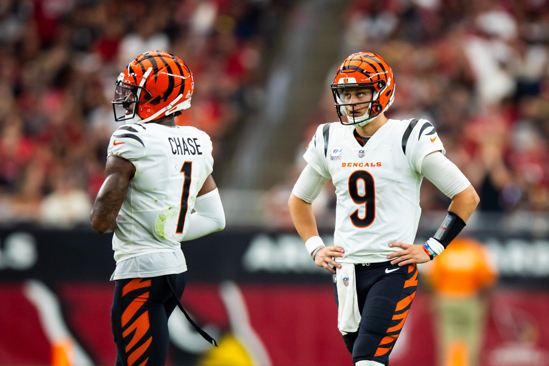 Cincinnati Bengals Fantasy Football Names: Top Picks for Your Team (Best Ideas for This Season)