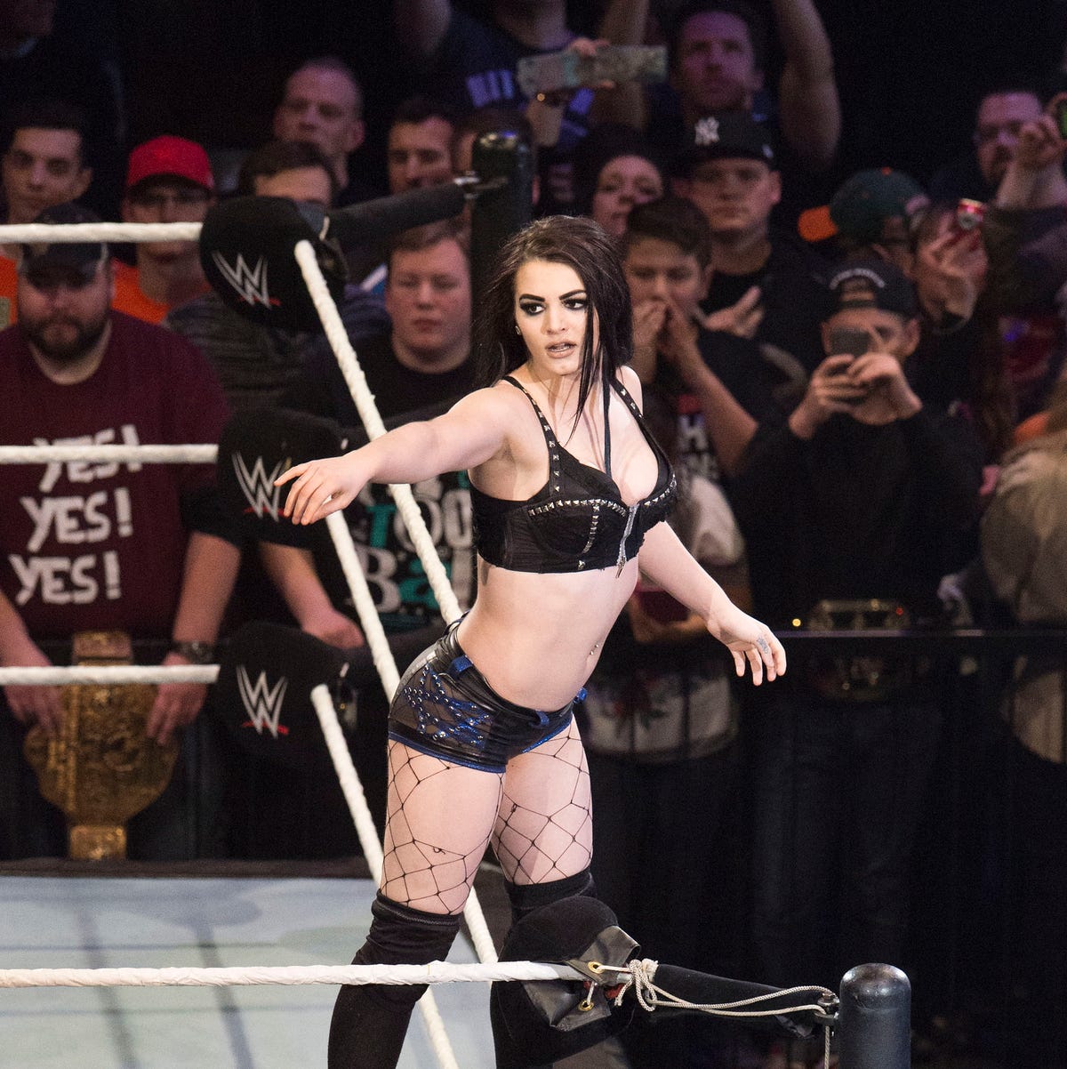 Paige WWE: What Happened to Her? (Heres the Real Story)