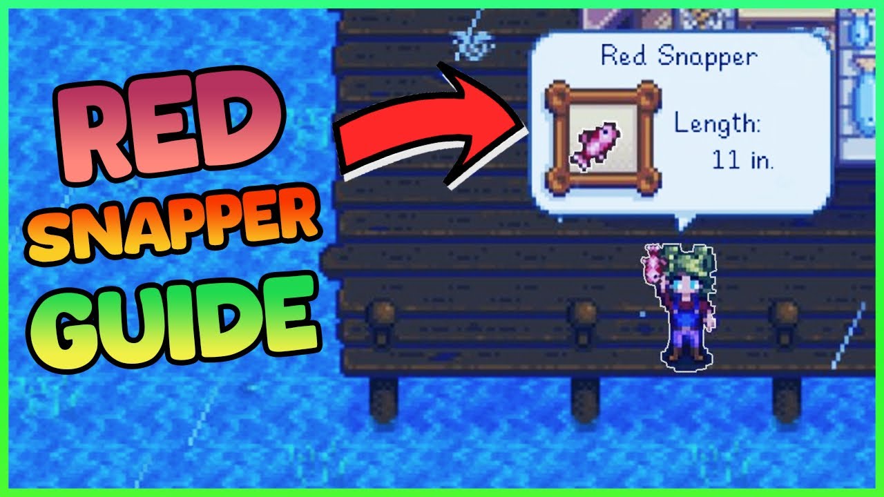 Red Snapper Stardew Valley: Everything You Need to Know Today