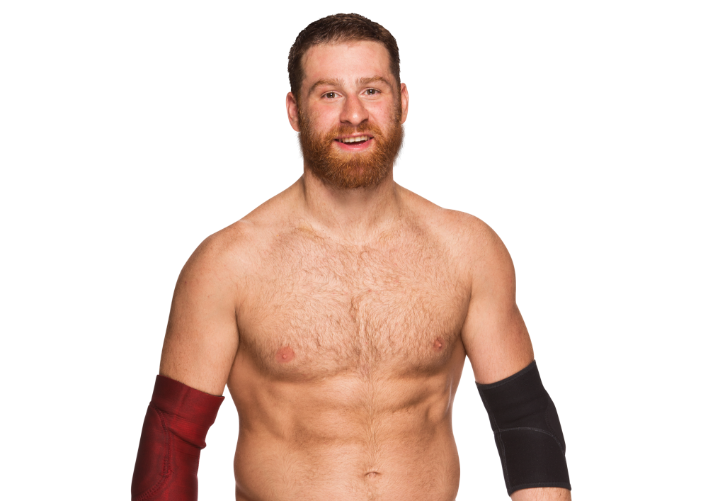 Sami Zyan : From NXT to the main roster.