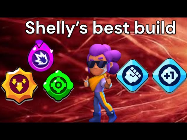 Ultimate shelly build : step-by-step instructions.