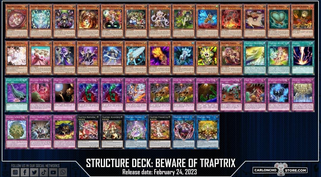 Affordable Traptrix Deck List that Works (Winning with Traptrix on a Budget)