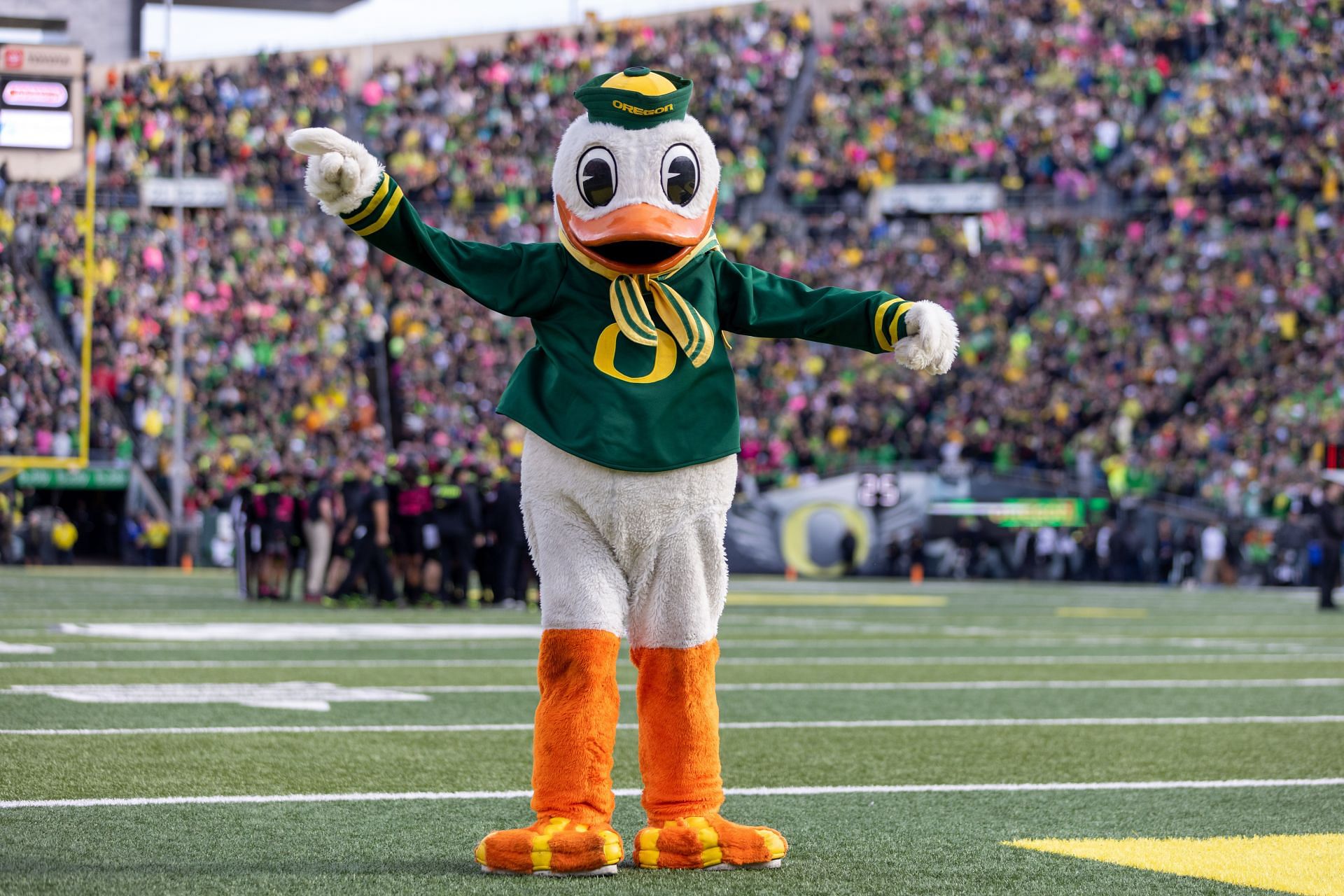 Best College Mascots 2023:  Which Schools Mascot Rules Them All? Lets Discuss!