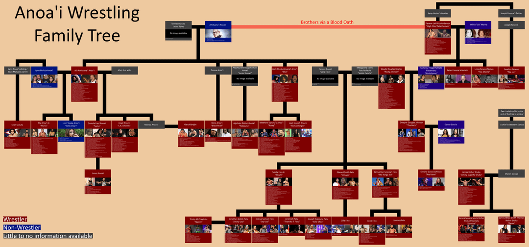 anoai wrestling family tree Explained: Your Easy-to-Follow Guide