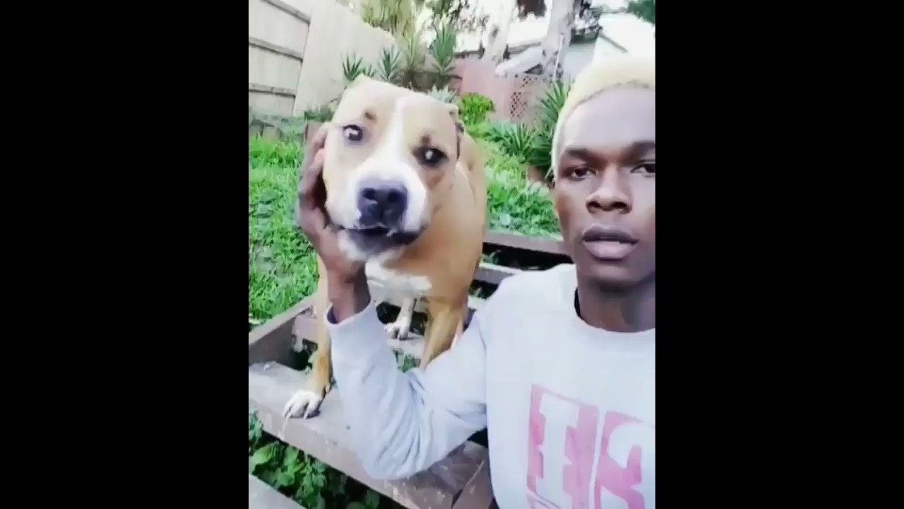 Israel Adesanya Dog Name: Discover the Name of His Furry Friend!