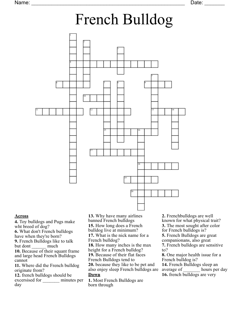 Stuck on Bulldog Features Crossword? (Top Tips to solve it quick!)