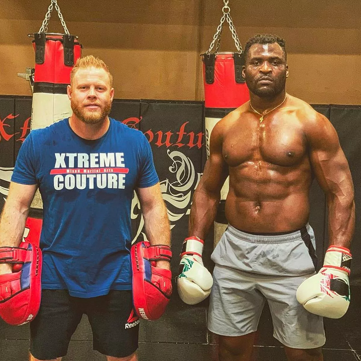 Francis Ngannou Punching Power: How Strong Is the UFC Champ?