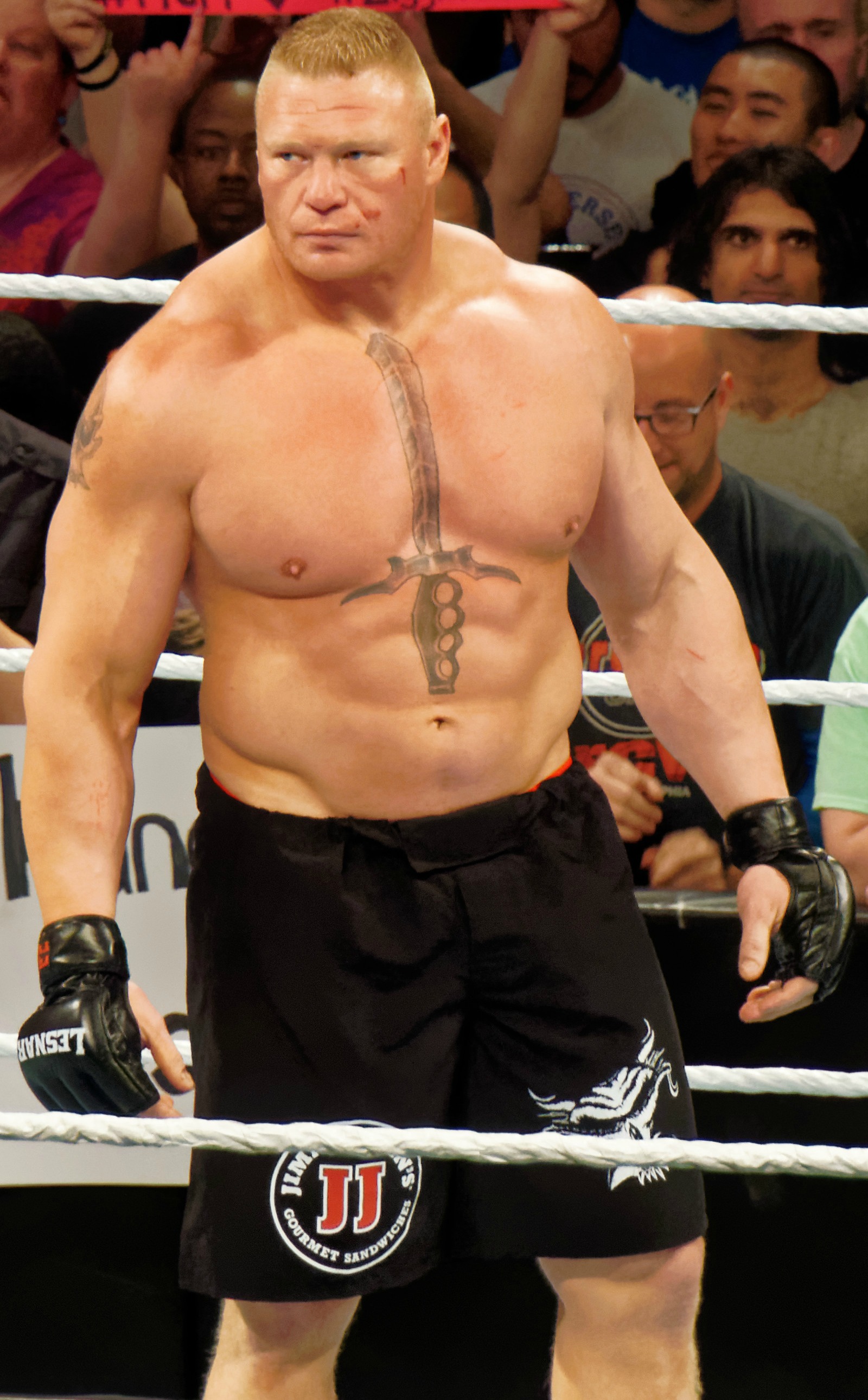 Is Brock Lesnar Retired? Find Out the Fighters Next Move!