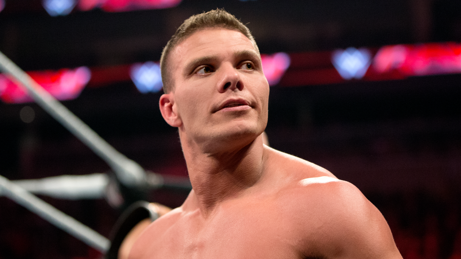 TJ Wilson Injury: How Did It Affect His Wrestling Career?