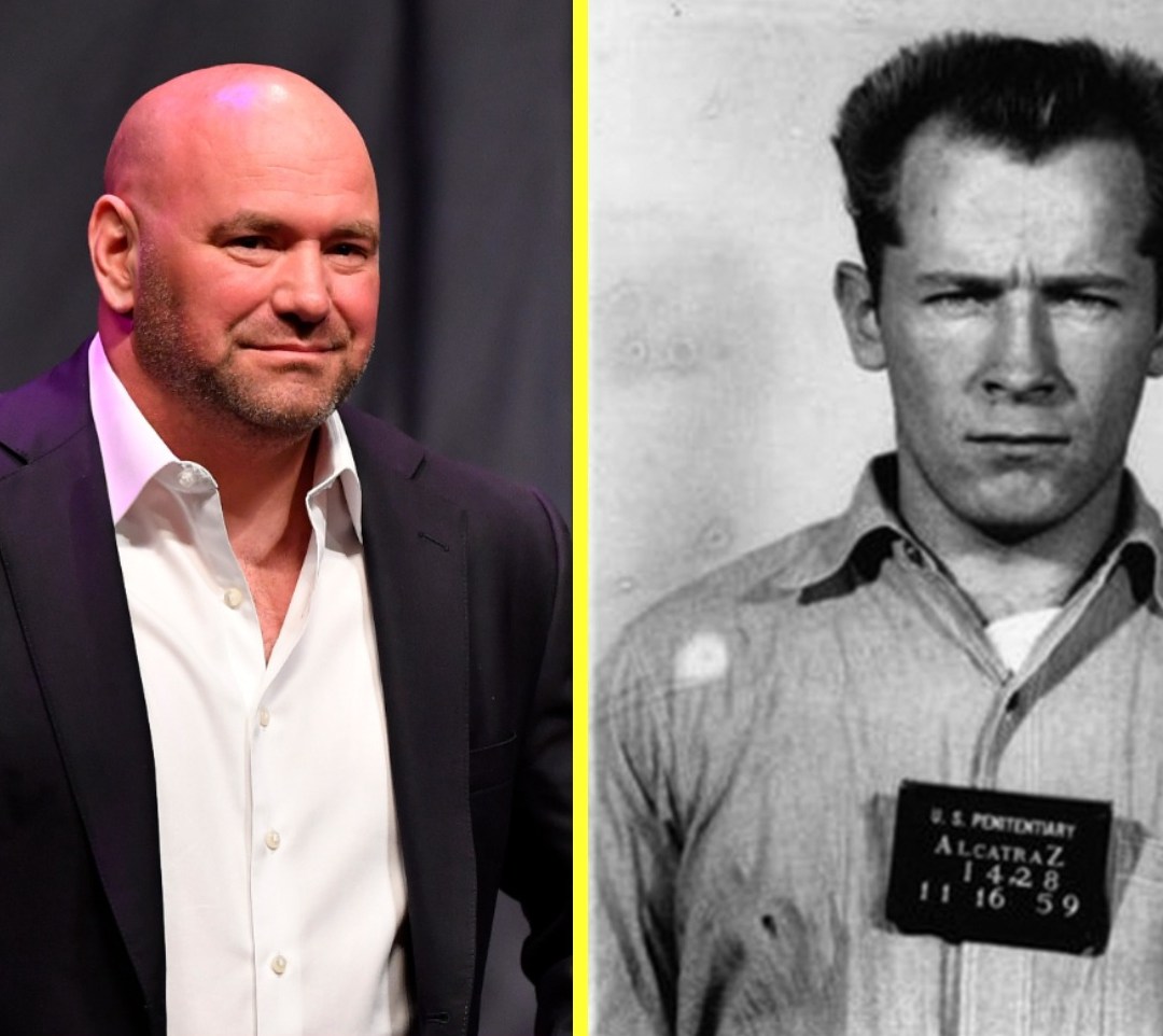 The Dana White & Whitey Bulger Story: Fact or Fiction?